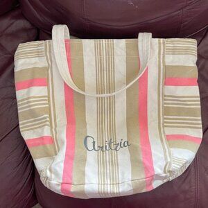 Aritzia Canvas tote handbag